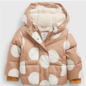 Toddler Girls 5t winter Jacket